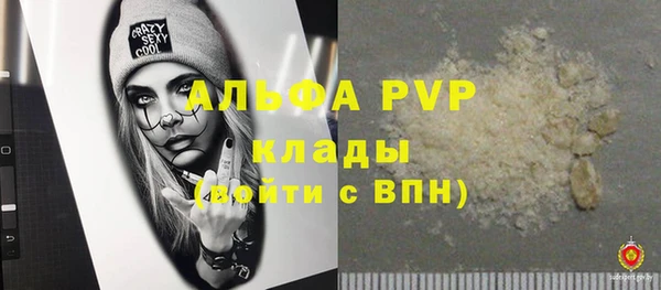 apvp Бородино