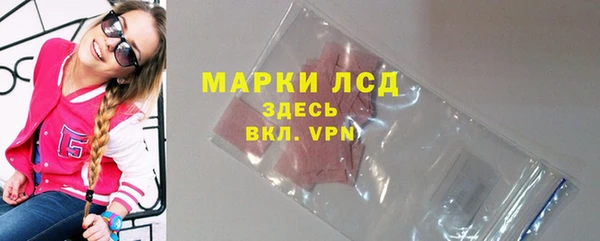apvp Бородино