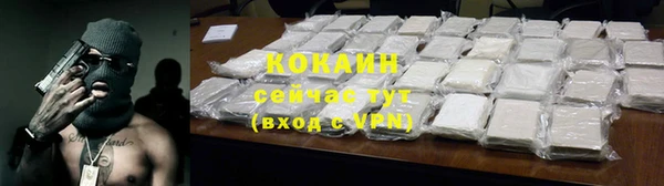 apvp Бородино