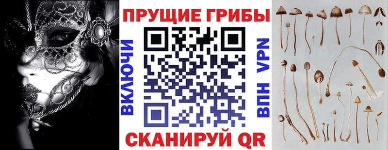 Галлюциногенные грибы MAGIC MUSHROOMS  Новосокольники 